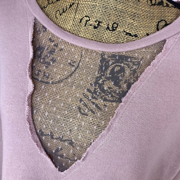 Alya Francesca’s Sheer Swiss Dot Inset Cropped Sweatshirt Blush Taupe Medium - Picture 2 of 8